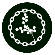 Spring GameLOGO